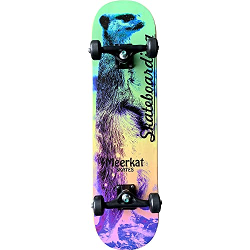 Skate Iniciante Street Meerkat Alert (Truck de PP)