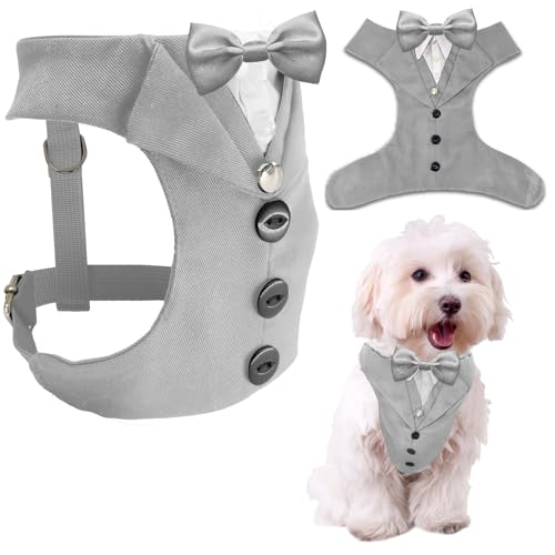 AVERYDAY  ^LV[h    X[c lN^C RX`[ a nEB RXv NX}X p[eB[ ybg tH[}EFA lN^Ct ^LV[h ^ ` rV }`[Y L