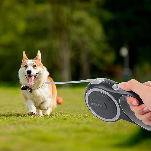 Edipets, Hundeleine, Ausziehbar, Einziehbar, 3, 5 und 8 Meter, Flexibles Band für Rechts- und Spaziergänge, Dog Leash, Rolleine, Flexileine, Retractable (Grau, 5 Meter