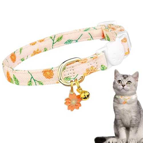Collier de chat de boucle de sécurité pour les aventures en plein air