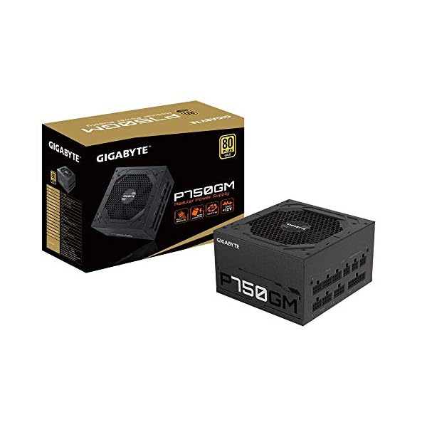 GIGABYTE Modular Fuente ALIM. P750GM 80 Plus Gold