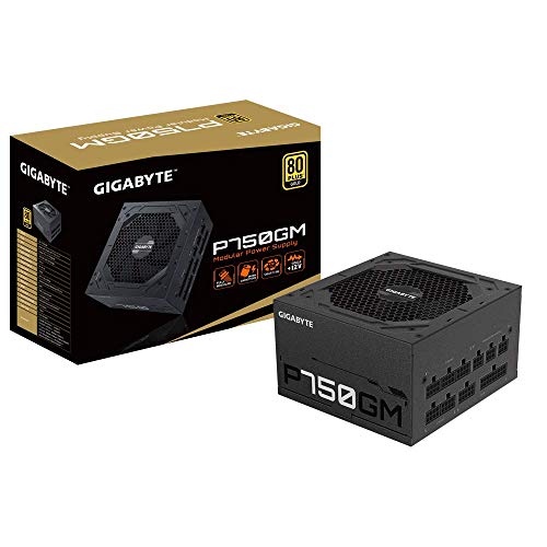 Netzteil Gigabyte 750W P750GM, GP-P750GM, schwarz, Einheitsgröße