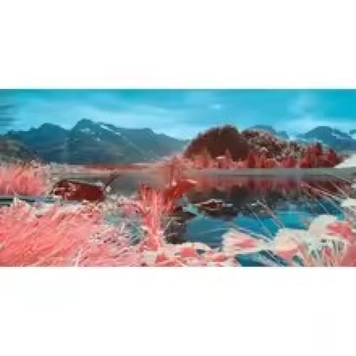 Peinture bleu corail rouge en affiche de ciel de lac de forêt pour salon