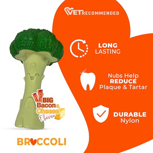 Nylabone Broccoli Power Chew Toy for Dogs, Dog Toys for Aggressive Chewers, Bacon & Cheese Flavor, Large Dogs - Up to 50 lbs, 1 Count - Image 5