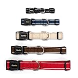 lionto Hundehalsband aus strapazierfähigem Nylon, Größe XS, weiches gepolstertes Halsband für Hunde, 360° reflektierend & Klickverschluss, Metallring & Anpassung durch stufenlosen Schieber, schwarz