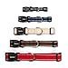 lionto Hundehalsband aus strapazierfähigem Nylon, Größe XS, weiches gepolstertes Halsband für Hunde, 360° reflektierend & Klickverschluss, Metallring & Anpassung durch stufenlosen Schieber, schwarz