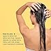 milk_shake Color Care Shampoo for Color Treated Hair – Hydrating and Protecting Color Maintainer Shampoo, 10.1 Fl Oz - (Package May Vary)