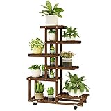Stands