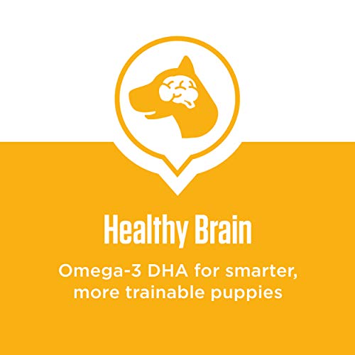 Iams Smart Puppy Dry Dog Food With Real Chicken, 15 Lb. Bag #TOP4