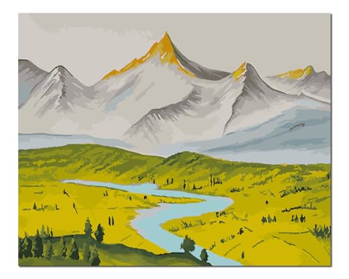 Peinture par numéros débutants paysage nature avec cadre bois kit complet adulte 40x50