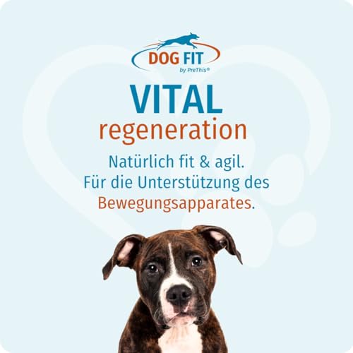 DOG FIT by PreThis® VITAL Regeneration für Hunde | Mit Kollagen, Kieselerde & L-Lysin | Nährstoffe für Rückenstrukturen, Knorpel, Sehnen & Bänder | 60 Kapseln | Large ab 25 kg