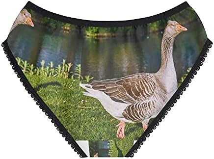 Walk Along The River Panties, Walk Along The River Underwear, Briefs, Cotton Briefs, Funny Underwear, Panties For Women
