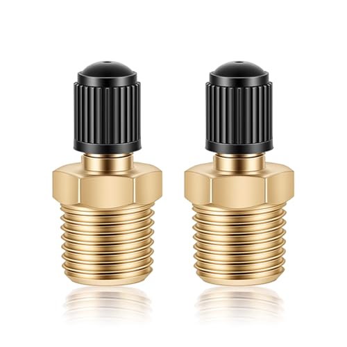 2pcs 1/4 NPT Tank Valve Brass Schrader Valve Male Threads Standard Valves Core Using with Air Compressor Tanks