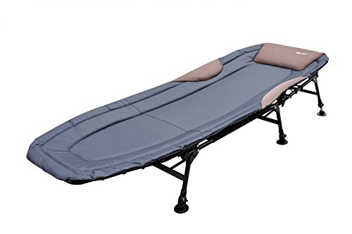Economic 6-Bein Bedchair Angelliege Grau