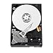 WD Blue 250 GB Desktop Hard Drive: 3.5 Inch, 7200 RPM, PATA, 8 MB Cache - WD2500AAJB