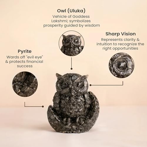 Image of Pyrite Tortoise Kachhua 2.7 Inch | Certified Original Crystal Turtle for Money, Good Luck & Wealth | Vastu Shastra Feng Shui Decor | Housewarming Gift Home Office (Pyrite Tortoise & Owl Combo)
