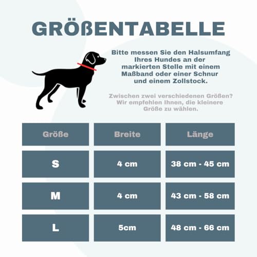 teamwalk® Premium Hundehalsband - mit Magnetgriff, Leuchtstreifen, Air-Tag Tasche, individuell einstellbar, weiche Polsterung, robuste Schnalle, mit passender Leine erhältlich, JETZ NOCH Leichter(M)