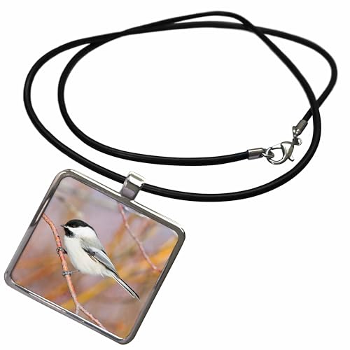 3dRose Danita Delimont - Birds - Wyoming, Black-capped Chickadee perched on will stem. - Necklace With Rectangle Pendant (ncl_231875)