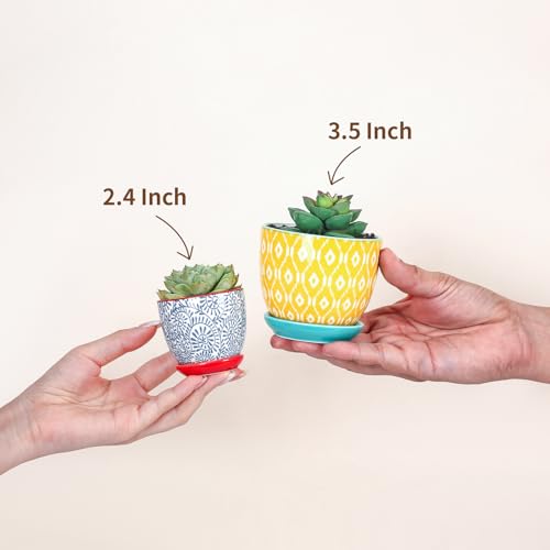 Selamica Ceramic 2.4 Inch Succulent Pots, Mini Flower Pots for Cactus Plant with Drainage Holes & Saucers, Home Decor, Set of 6, Assorted Colors by Selamica - Used condition - Image 6