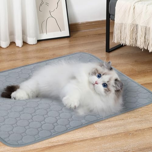 2 Stück Welpenunterlagen Waschbar- Hunde Trainings Pads, 50 x 70 cm, Waschbare Welpen Unterlagen, Super Saugfähig Hunde PIPI Pads, Wasserdicht und rutschfest, für das Hundetraining, Böden, Autos