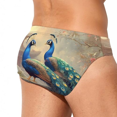 Peacocks Palace Men's Swim Brief Sexy Bikini Swimwear Swimsuit Trunks Bathing Suits3
