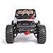 Redcat Ascent Fusion 1:10 Scale RC Rock Crawler, Brushless Motor, 4WD, Carbon Fiber Frame, Black