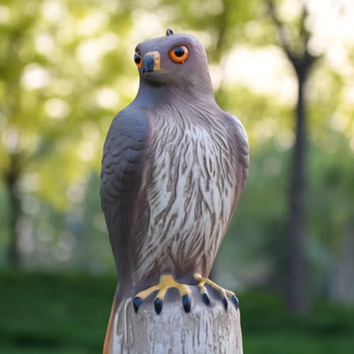 Figurine aigle à queue pour décoration extérieure de jardin - 8