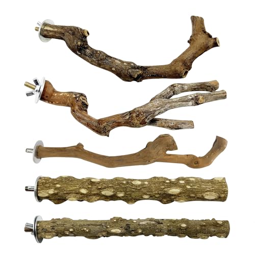 Image of 5PCS Parrot Perch Stand Natural Wooden Bird Stand Branch 3 Grape Wood Perch 2 Stand Paw Grinding Fork Parakeet Chewing Stick Exercise Training Branches for Small Birds Cockatiels