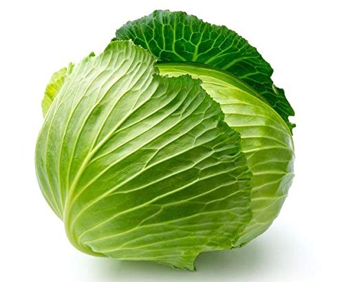 Pinkdose® 100Pcs/Baggiantrussiancabbage Seed, Vegetable Seed95%+Germination, High-Qualityvegetableforhomegarden: