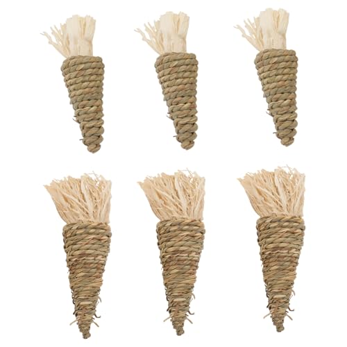 Loigohon ETM̂ jW^ VRf ? ybg̎ ޗV LxcnX^[Ή