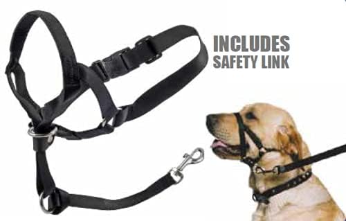 halti head collar & link for dogs