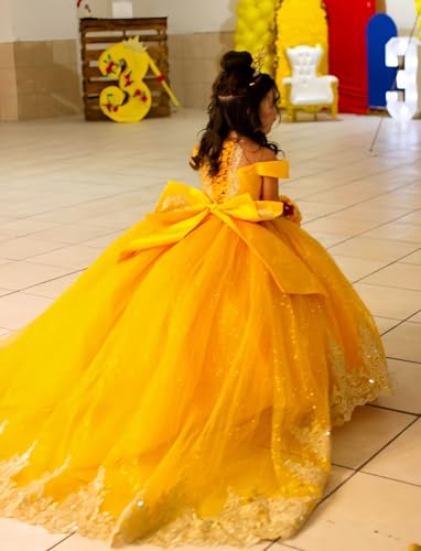 Applique Puffy Kids Flower Girl Dresses with Train Formal Ball Gowns Sparkly Satin Pageant Dress for Girls3