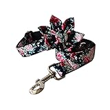collares antiladridos para perros pequeños Transpirable, suave, sin tensión para un mejor control.