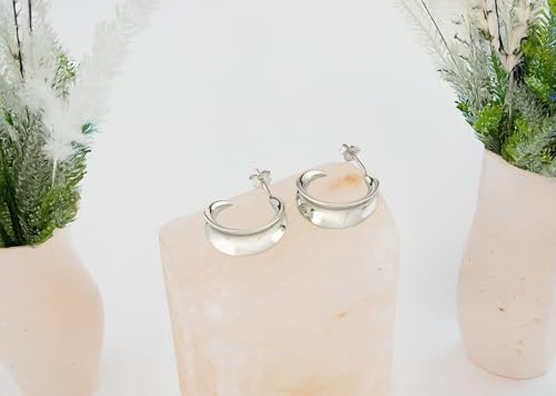 Boucles d'oreilles en argent 925 SOFIA MILANI clous d'exception - 5