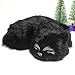 Realistic Furry Black Cat Figurine Simulation Sleeping Kitten Home Office Shelf Halloween Decorative Statue, Synthetic Fur Pet Replica, Stuffed Animal, Photo Props, Collectible Gift