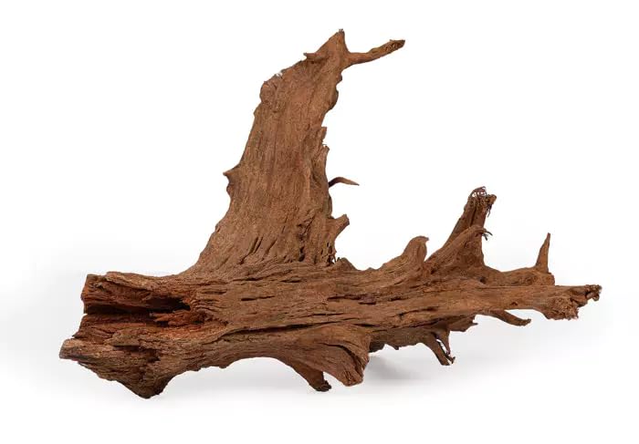HAPPET Racine de mangrove XXL - Décoration naturelle pour aquarium et terrarium, sans danger pour les poissons et les reptiles, forme unique, durable et...