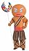 Shrek Gingerbread Man Warrior Costume