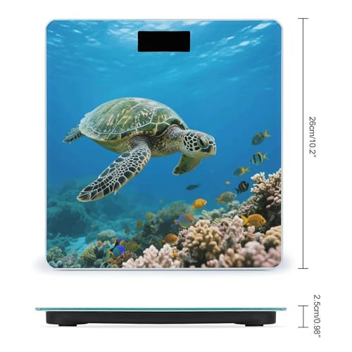 Báscula digital de baño con sensor 4, pantalla LED miniatura 2