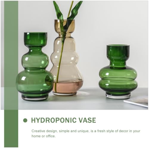 Vase en verre transparent hydroponique à haute stabilité - 6