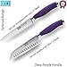 Taylors Eye Witness Syracuse Asian Kitchen Knife Set - Chefs Santoku 13cm/5” & Cooks All Purpose 13cm/5” Cutting Edge, Multi Use. Ultra Fine, Razor Sharp Blade. Soft Grip Purple Colour Handle.