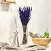 Lavanda Experience, Pack de 3 Ramos de Flores Naturales de Lavanda Preservadas...