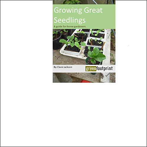 Ignite This Transformative Full Audiobook — Perfect While Traveling.