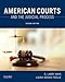 American Courts and the Judicial Process