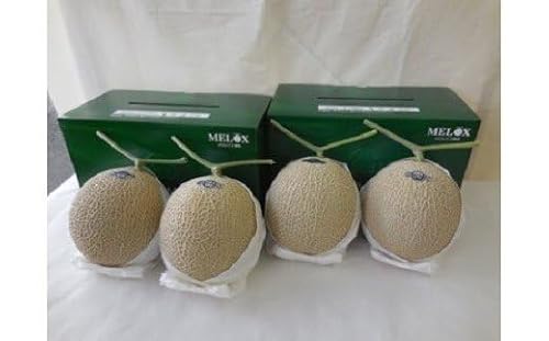 静岡県産アローマメロン 4玉 化粧箱入り 温室 ジューシー 高級 ブランド 果汁 甘い 箱入り 贈答 ギフト 内祝い 果物 フルーツ 母の日 父の日 お中元 お歳暮 メロン 静岡 特産品 名産 国産 産地直送 旬 おいしい 美味しい 人気 牧之原市 静岡県