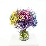 vivienda madrid ayuda alquiler CALIDAD PREMIUM GARANTIZADA – Flores de alta calidad con tallos resistentes y pétalos frescos. Cada ramo es preparado con esmero para ofrecer elegancia, belleza y durabilidad natural.