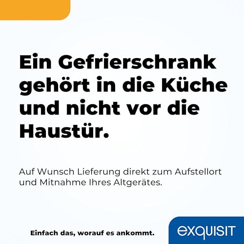 Exquisit Gefrierschrank, Tiefkühlschrank, Kombigerät, Kühlfunktion, 380 Liter, Alarm-Funktion, NoFrost, 4-Sterne-Gefrierfach, Schnellgefrieren, Schnellkühlen, GS5380-NF-H-050D inoxlook