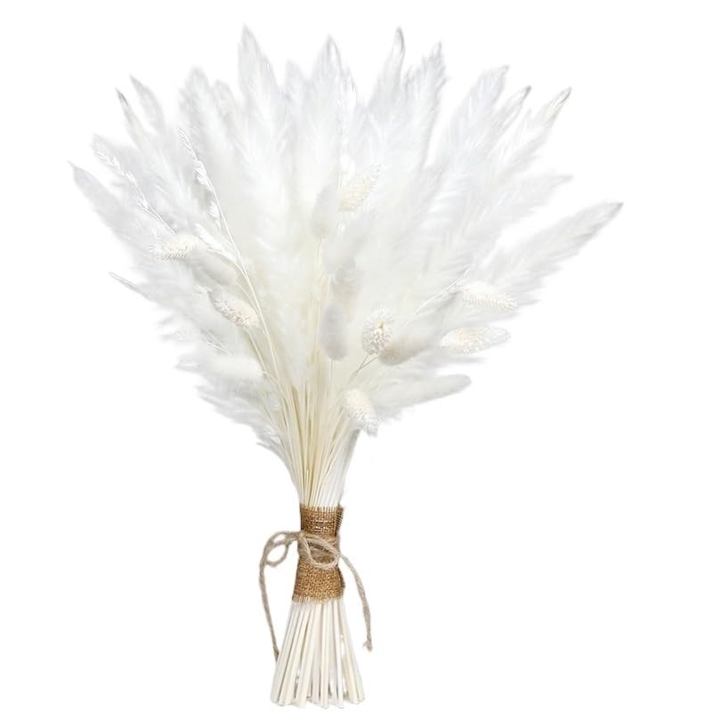 Ramo de pasto pampas seco natural grande y esponjoso 35-45 cm miniatura 1
