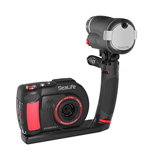 DC2000 Pro Flash Set