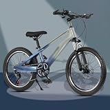 Bicicleta De Montaña para Niños Y Niñas De 20 Y 22 Pulgadas, con Frenos De Disco Dobles Y Cuadro De Aleación De Magnesio, C,20 Inch