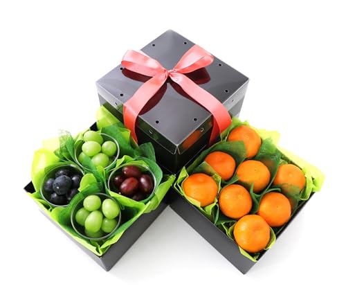 R̂ԂǂƂ݂̃t[cd AILt[c}CX^[I [ߍԂǂ ߐԂԂǂ VC}XJbg ݂] ʕMtg 蕨 j 䌩 a j wj Џj v[g 䋟  lΉ ̂Ή Ε Ε